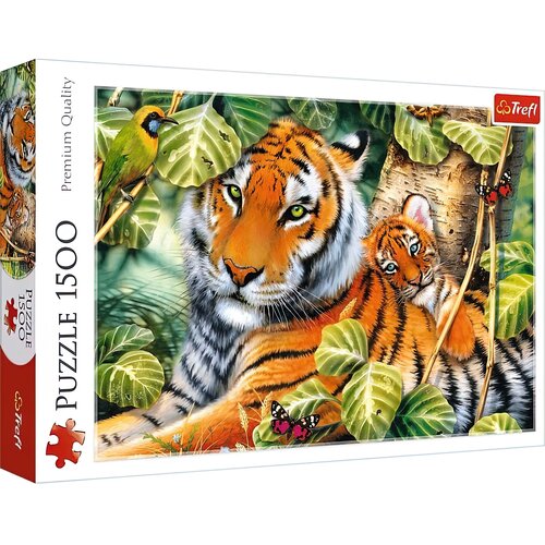 Two Tigers